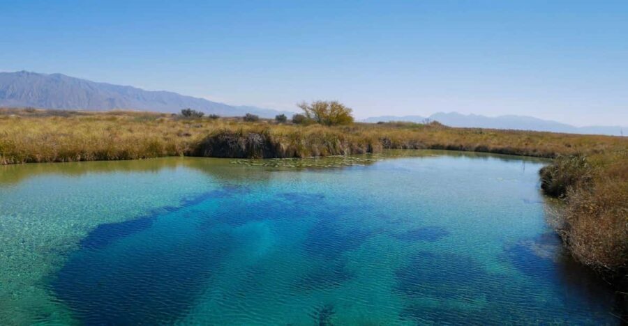 From Monterrey: Tour a Cuatro Ciénegas one day tour - An In-Depth Look at the Cuatro Ciénegas Tour