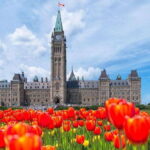 From Montreal: Private Ottawa Full Day Tour - The Value of a Private Day Trip