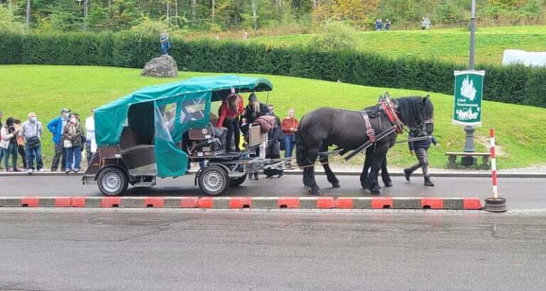 From Munich: Royal Fairytale Tour - Exploring Bavaria’s Fairy-Tale Castles and Village Charm