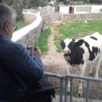 From Mykonos: Ano Mera Farm Tour - Who Will Enjoy This Tour?