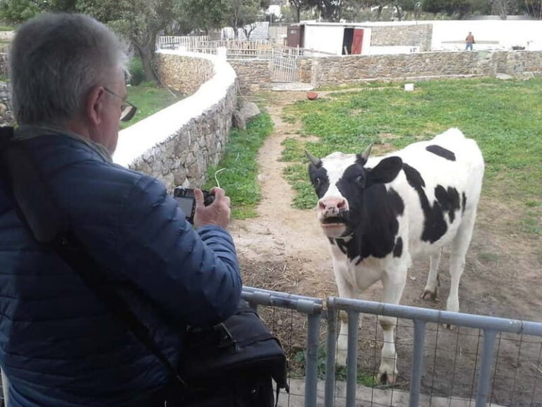 From Mykonos: Ano Mera Farm Tour - Who Will Enjoy This Tour?