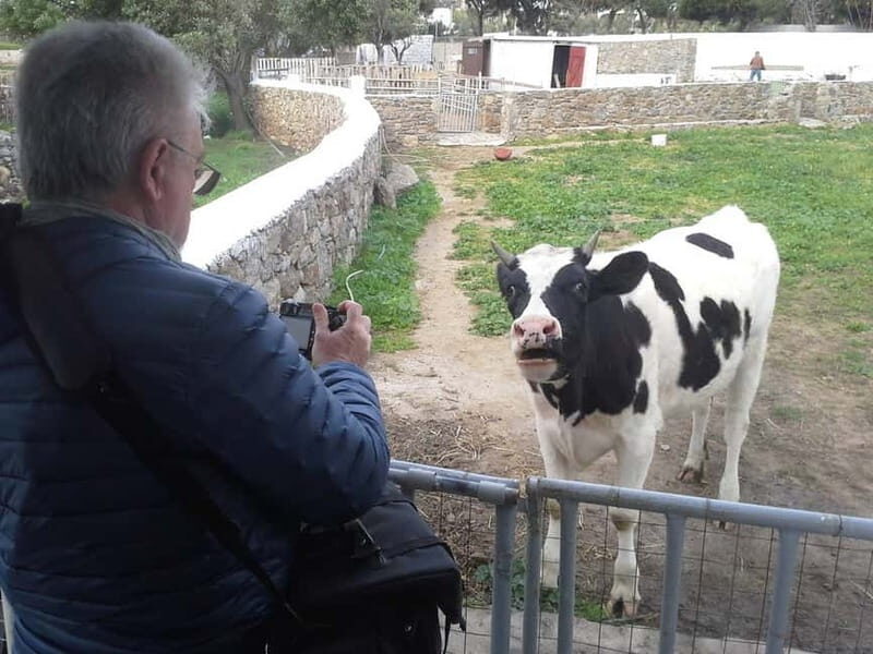From Mykonos: Ano Mera Farm Tour - Who Will Enjoy This Tour?