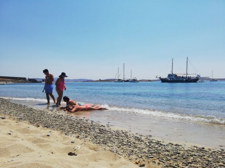 From Mykonos: Cruise to Delos and Rhenia with Lunch - Who Should Book This Tour?