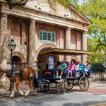 From Myrtle Beach: Charleston Day Trip, Boone Hall & Cruise - Who Will Love This Tour?