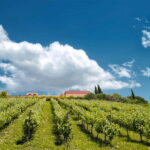 From Nafplio: Nemea, Wine Tasting Tour with Local Flavours - Who Should Consider This Tour?