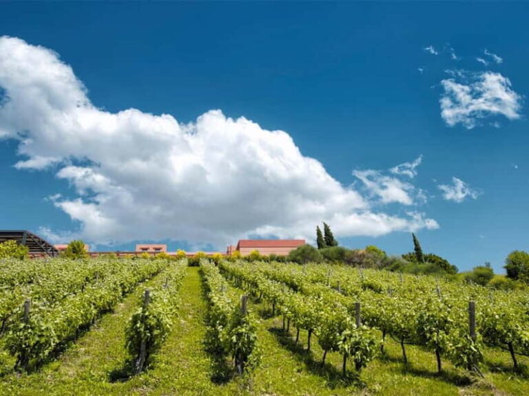 From Nafplio: Nemea, Wine Tasting Tour with Local Flavours - Who Should Consider This Tour?