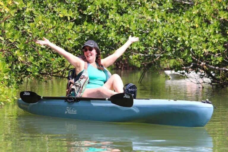 From Naples, FL: Marco Island Mangroves Kayak or Paddle Tour - Who Should Consider This Tour?