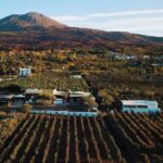 From Naples: Pompeii & Wine Tasting" Private Day Tour - The Sum Up