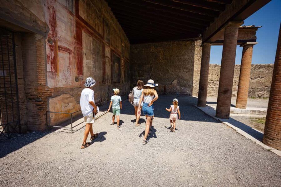 From Naples Port: Pompeii Guided Walking tour or Audioguide - Value and Suitability