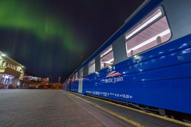 From Narvik: The Northern Lights Arctic Train Guided Tour - Final Thoughts: Who Should Consider This Tour?