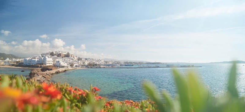 From Naxos: Delos and Mykonos Full-Day Trip - Detailed Review of the Experience