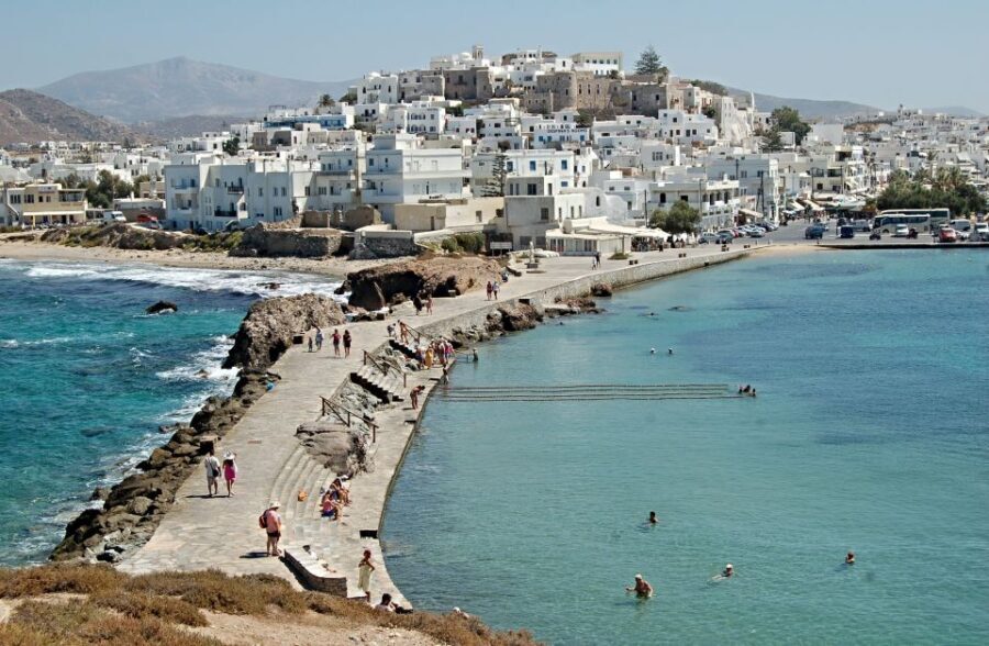 From Naxos: Mykonos Full-Day Trip - Pricing and Value