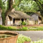 From New Orleans: Oak Alley Plantation Tour - The Sum Up