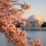 From New York: New Haven, Rhode Island and Boston 2-Day Trip - What You Can Expect from This 2-Day Tour