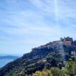 From Nice & Antibes: Monaco & Eze Tour with Hotel Pickup - Who Will Love This Tour?