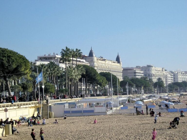 From Nice: Cannes and Antibes Half-day Tour - Who Would Love This Tour?