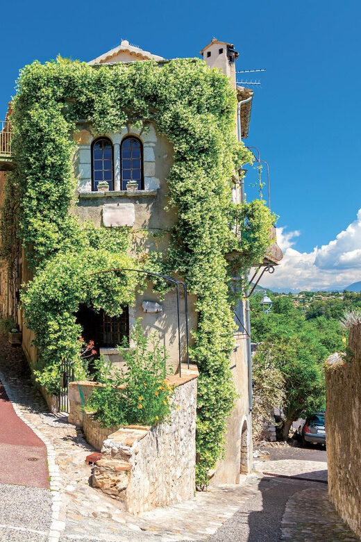 From Nice: Monaco & Provençal villages - Who Would Love This Tour?