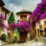 From Nice: Provence and its Medieval Villages Full-Day Tour - Practical Details and What to Expect
