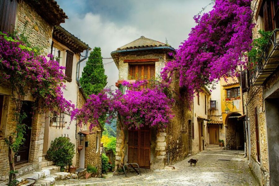 From Nice: Provence and its Medieval Villages Full-Day Tour - Practical Details and What to Expect