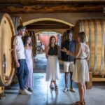 From Nice: Provence Wine Full-Day Tour - Who Will Love This Tour?