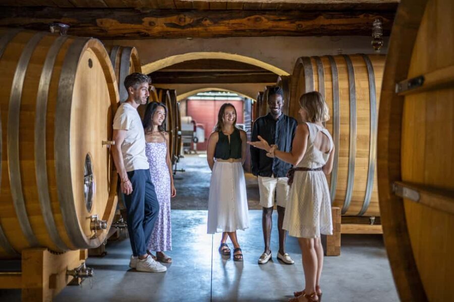 From Nice: Provence Wine Full-Day Tour - Who Will Love This Tour?
