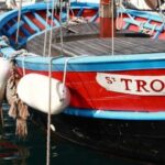 From Nice: St Tropez & Port Grimaud Full Day Tour - Detailed Review of the Tour Experience