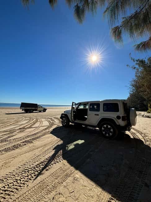 From Noosa: 4WD Beach and Walking Adventure - Why This Tour Offers Excellent Value