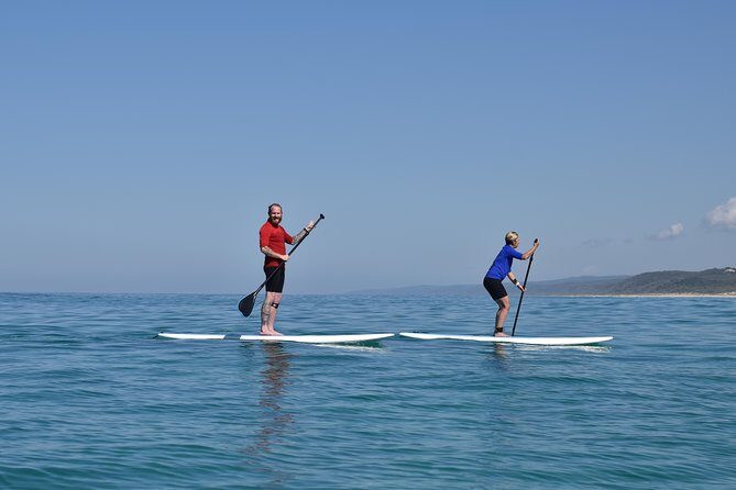 From Noosa: Stand Up Paddle Wildlife & Beach 4X4 Adventure - Why This Tour Offers Great Value