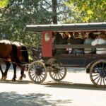 From NYC: Day Trip to Philadelphia and Amish Country - Authenticity & Real-Life Insights from Travelers