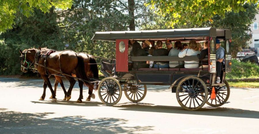 From NYC: Day Trip to Philadelphia and Amish Country - Authenticity & Real-Life Insights from Travelers
