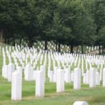 From NYC: Guided Day Trip to Washington DC by Van or Bus - A Detailed Look at the Experience