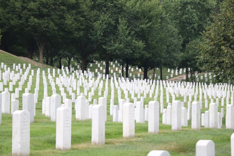 From NYC: Guided Day Trip to Washington DC by Van or Bus - A Detailed Look at the Experience