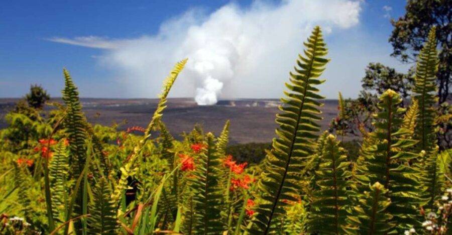 From Oahu: Big Island Volcano Adventure - What’s the Experience Like?