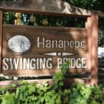 From Oahu: Kauai Waimea Canyon and Koke'e Adventure Tour - Why This Tour Stands Out