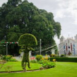 From Oaxaca: City, Mitla, and Mezcal Factory Tour - Exploring Oaxaca’s Main Attractions