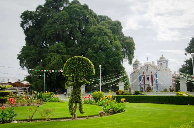 From Oaxaca: City, Mitla, and Mezcal Factory Tour - Exploring Oaxaca’s Main Attractions