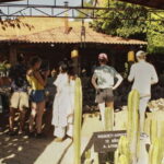 From Oaxaca de Juarez: Hierve el Agua and Mezcal Distillery - The Magic of Hierve el Agua