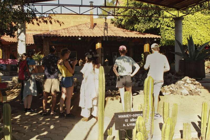 From Oaxaca de Juarez: Hierve el Agua and Mezcal Distillery - The Magic of Hierve el Agua