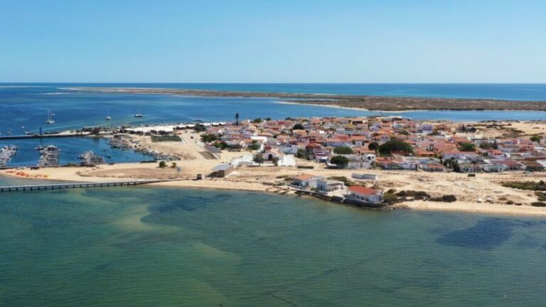From Olhão: Ria Formosa 3-Island Full-Day Tour - The Sum Up: Who Is It Best For?