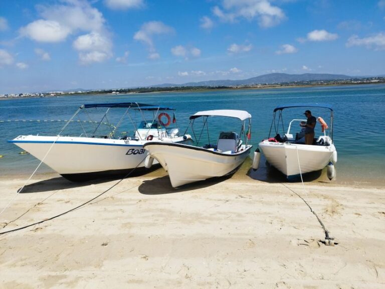 From Olhão: Ria Formosa 3-Island Full-Day Tour with Sunset - Who Should Consider This Tour?
