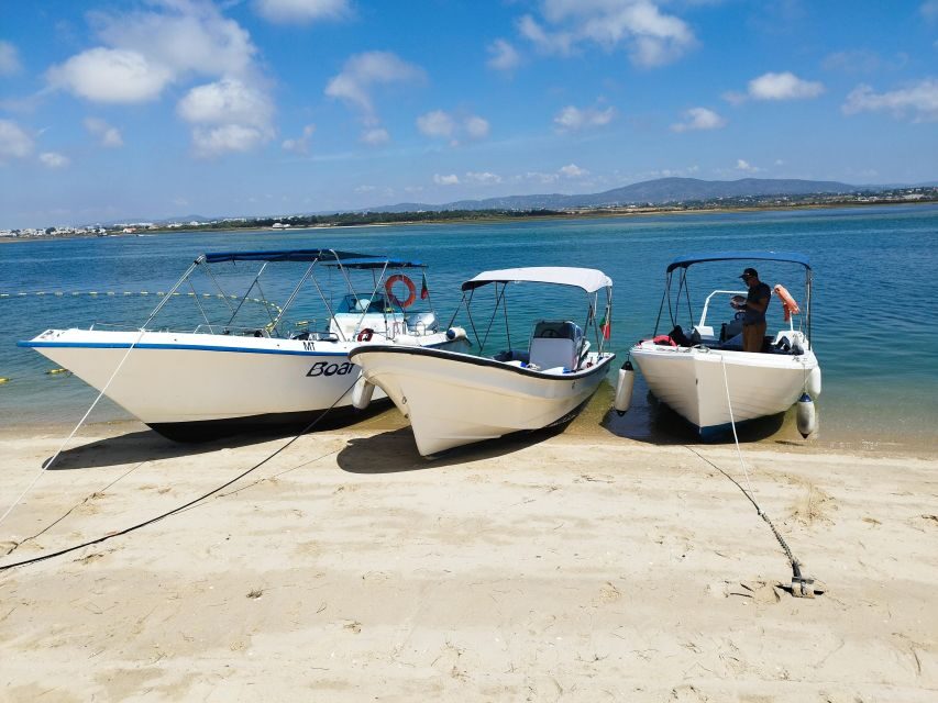 From Olhão: Ria Formosa 3-Island Full-Day Tour with Sunset - Who Should Consider This Tour?