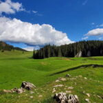 From Oradea: Apuseni Mountains Guided Hiking Tour - The Itinerary in Detail
