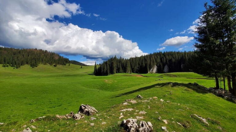 From Oradea: Apuseni Mountains Guided Hiking Tour - The Itinerary in Detail