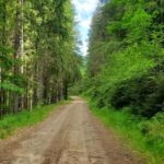 From Oradea: Mountain Bike around Lake Dragan - Key Points