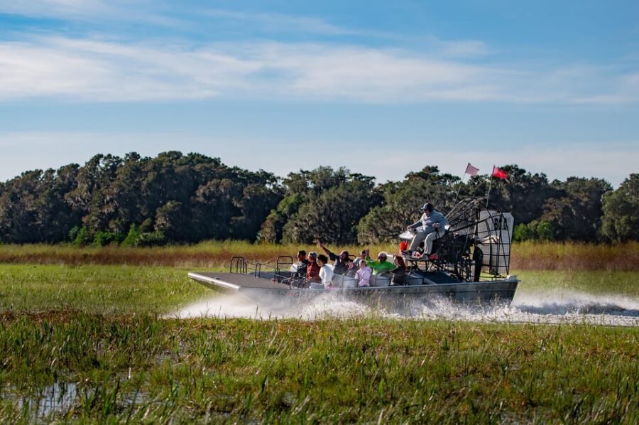 From Orlando: Swamp Airboat Ride and Gatorland Entry - A Closer Look at the Experience