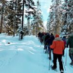 From Oslo: Oslomarka Forest Guided Snowshoeing Tour - Exploring the Details of the Oslomarka Snowshoe Tour
