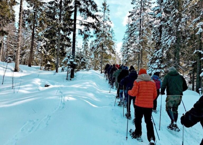 From Oslo: Oslomarka Forest Guided Snowshoeing Tour - Exploring the Details of the Oslomarka Snowshoe Tour