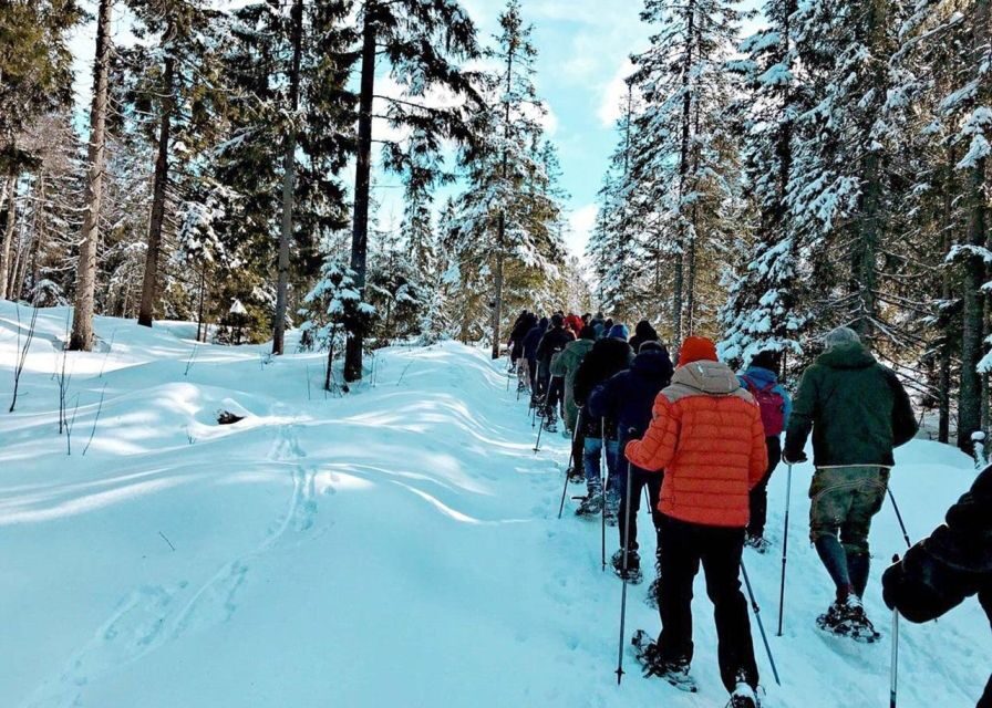 From Oslo: Oslomarka Forest Guided Snowshoeing Tour - Exploring the Details of the Oslomarka Snowshoe Tour