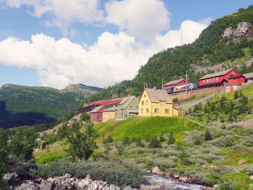 From Oslo: Private Round-Trip Tour to Sognefjord via Flåm - Authentic Reviews & What Travelers Say