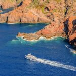 From Ota: Scandola Nature Reserve Eco-Friendly Boat Tour - An In-Depth Look at the Tour Experience